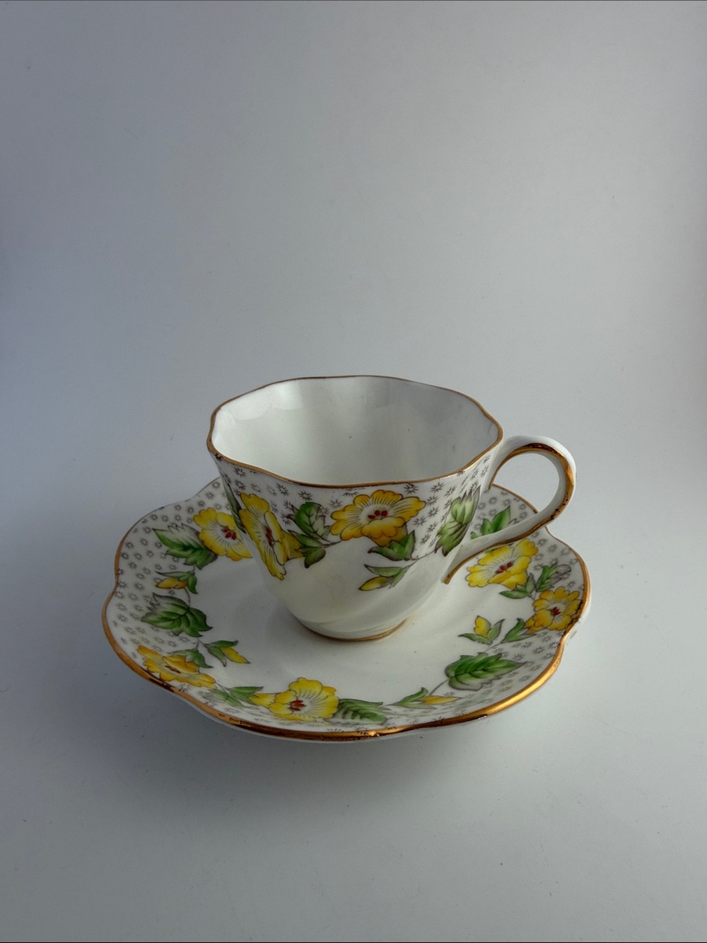 Salisbury Convolvulus Fine Bone China Tea Cup and Saucer Made in England Yellow